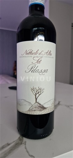 Piemonte Nebbiolo d'Alba Pelassa 2021