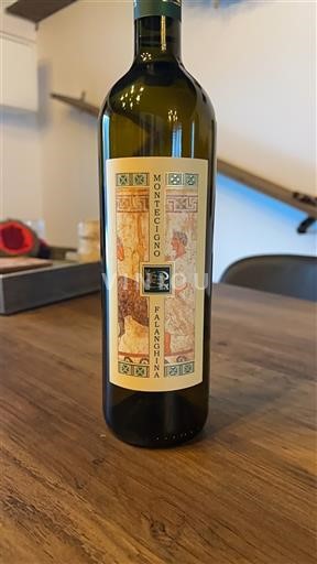 Campania Ikke specificeret Montecigno 2023