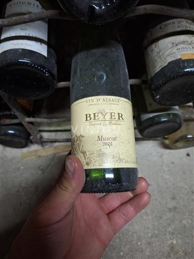 Alsace Muscat Beyer 2015