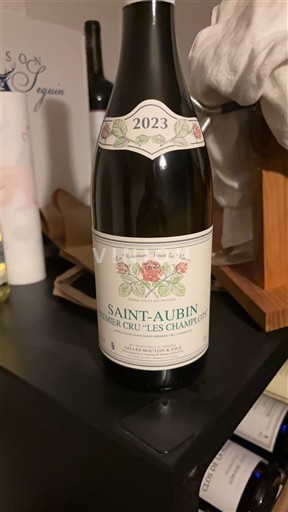 Burgundija Saint-Aubin Premier Cru Château Les Blanchots Dessus Les Chateaux Premier Cru Les Champlots 2023