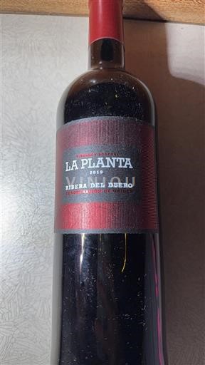 Castilien og León Ribera del Duero Arzuaga Navarro La Planta 2019