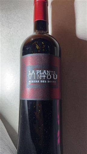 Castilien og León Ribera del Duero Arzuaga Navarro La Planta 2022