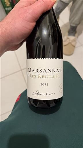 Burgundy Marsannay Alexandre Gauvin Les Récilles 2023