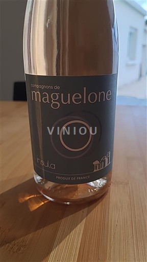 Languedoc și Roussillon Vin de Pays d'Oc Compagnons de Maguelone Insula 2024