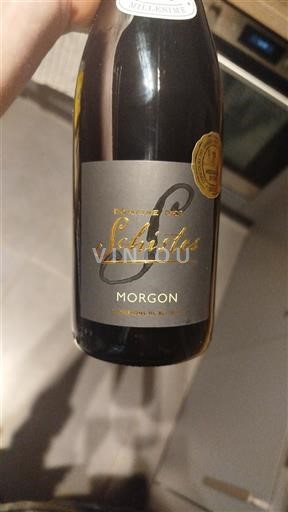 Beaujolais Morgon Expression des Schistes 2024