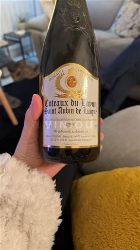 Valle del Loira No especificado Domaine Lesvaux 2009