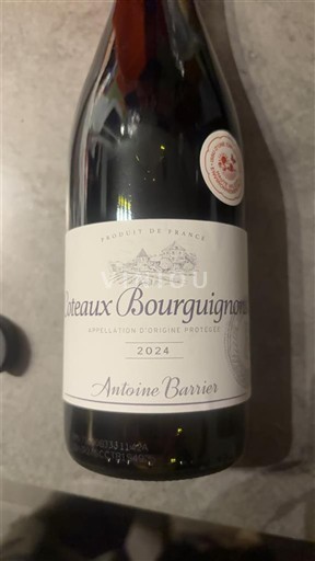 Bourgogne Coteaux bourguignons Antoine Barrier 2024