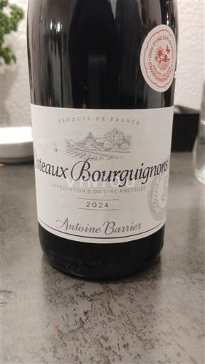Burgund Burgunderhänge Antoine Barrier 2024