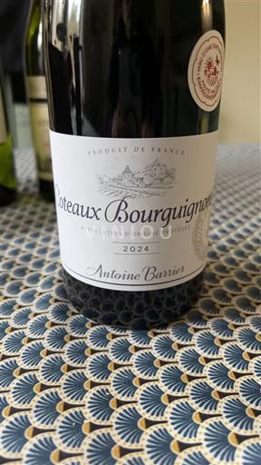 Bourgondië Bourgondische heuvels Antoine Barrier 2024