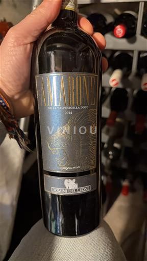 Veneto Amarone della Valpolicella Domini Veneti 2014