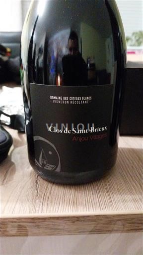 Valle del Loira Anjou Villages Domaine S Coteaux Blancs Clos de Saint-Brieux 2022