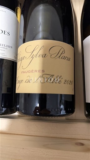 Languedoc Faugères Château Sylva Plana Serge de l'Abbé 2020