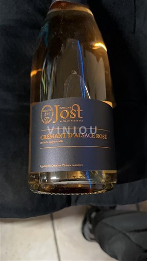 Alsace Alsace-kuohuviini Domaine Jost Ei vuosikertaa