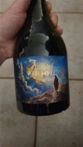 Valle del Loira Saint-Nicolas-De-Bourgueil Domaine Bourg Messiah Sin añada