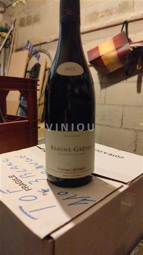 Burgundsko Beaune Thomas Morey Gréves 2023