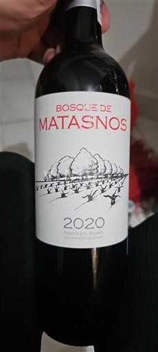 Castille et León Ribera del Duero Bosque de Matasnos 2020