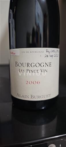 Bourgogne Alain Burguet Les Pince Vin 2006