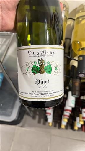 Víno Blanc demi-sec Hubolt et Fils 2022 Francie Alsasko Vin de France