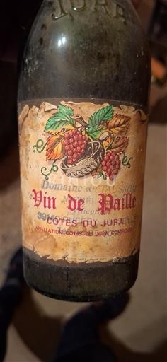 Wines Blanc liquoreux Domaine Jura 2003 France Jura Côtes du Jura AOC