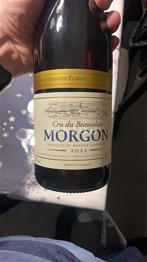 Beaujolais Morgon Château Vieux Château d'Augustin Florent 2023