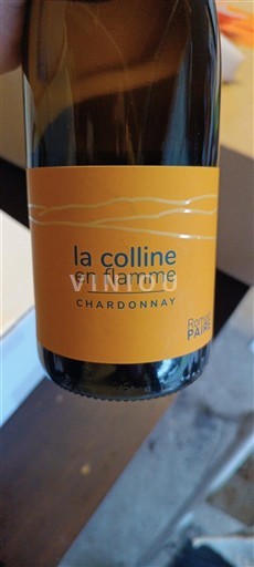Languedoc in Roussillon Katalonske obale Domaine Padié La Colline en Flamme 2024