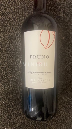 Castille và León Ribera del Duero Finca Villacreces Pruno 2021