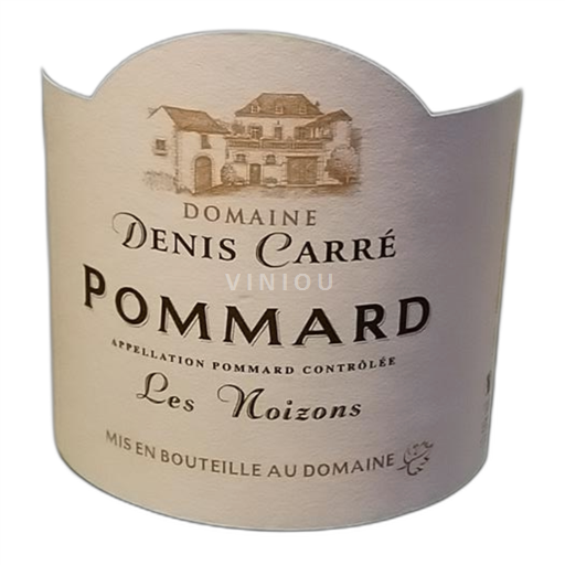 Bourgogne Domaine Denis Carré Les Noizons 2020