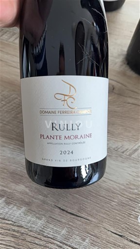 Burgundsko Rully Domaine Ferreira Chamba Plante Moraine 2024