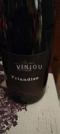 Valle della Loira Anjou-gamay Domaine Des Forges Friandise 2024