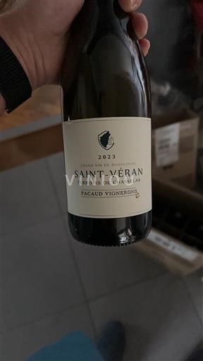 Viinit Blanc sec Terroirs de Chasselas Pacaud Vignerons 2023 Ranska Burgundi Saint-Véran AOC