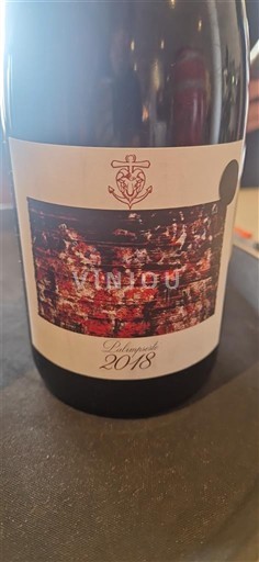 Languedoc Pic-saint-loup Clos des Augustins L'Astronaute 2018