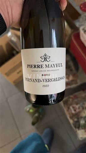 Borgoña Pernand-Vergelesses Pierre Mayeul 2022