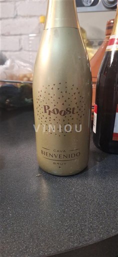 Katalonien Cava Bienvenido Proost Icke årgångsbetecknad