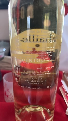 Sud-Ovest Côtes de Gascogne Lahille 2019