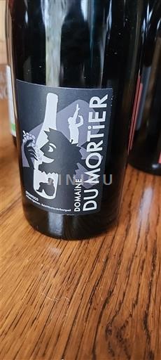 Valle del Loira Saint-Nicolas-De-Bourgueil Domaine Mortier 2021