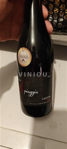 Linguadoca e Rossiglione Côtes catalanes Spiaggia Castor 2022