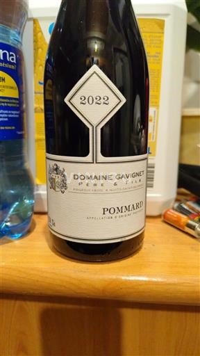 Borgoña Pommard Domaine Gavignet Père & Fils 2022