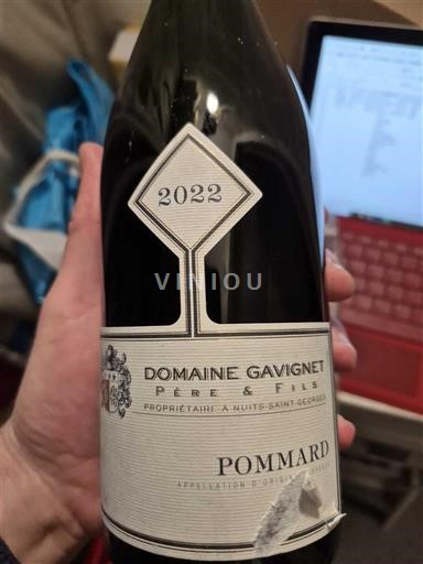 Burgundija Pommard Domaine Gavignet Père & Fils 2022