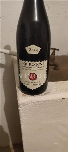 Burgundy Burgundy Coulanges-la-Vineuse Bailly Lapierre Coulanges-la-Vineuse 2024