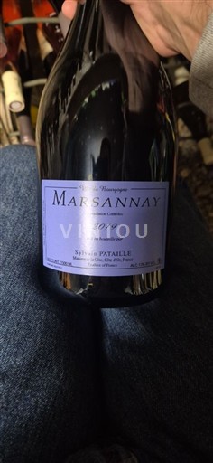 Burgundy Marsannay Sylvain Pataille 2019