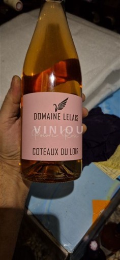 Loiredalen Coteaux du Loir Domaine Lelais Poivre Rose Icke årgångsbetecknad