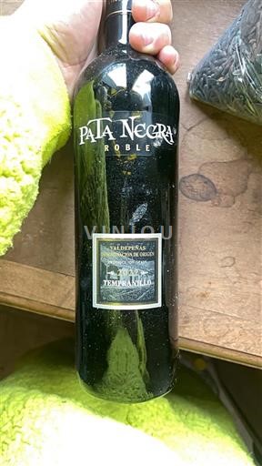 Castilla-La Mancha Valdepeñas Pata Negra Roble 2022