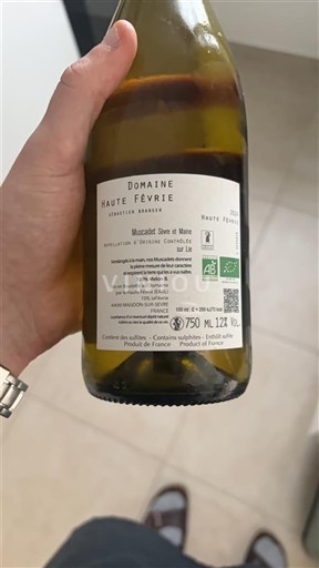 Valle del Loira Muscadet-sèvre-et-maine Domaine Haute Févrie 2024