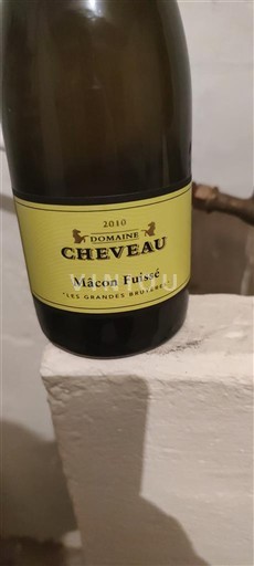 Bourgondië Mâcon en mâcon-dorpen Domaine Cheveau Les Grandes Bruyères 2010