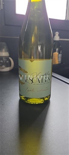 Valle del Rodano Côtes-du-Rhône Vignobles Escalin Senza annata