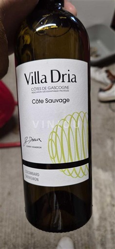 Sud-Ovest Côtes de Gascogne Villa Dria Côte Sauvage Senza annata