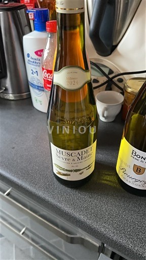 Loiren laakso Muscadet-sèvre-et-maine Vignoble sourice 2024