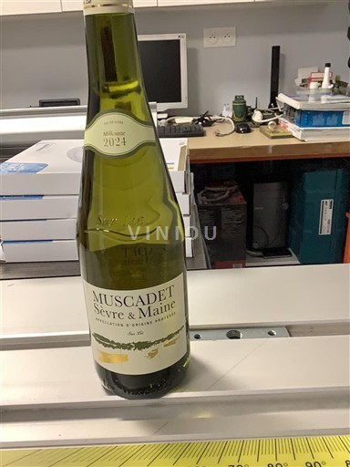 Loire Valley Muscadet Sèvre et Maine Vignoble sourice 2024