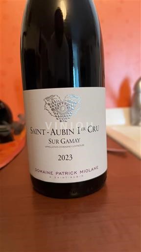 Burgundija Saint-Aubin Premier Cru Domaine Patrick Miolane Sur Gamay 2023
