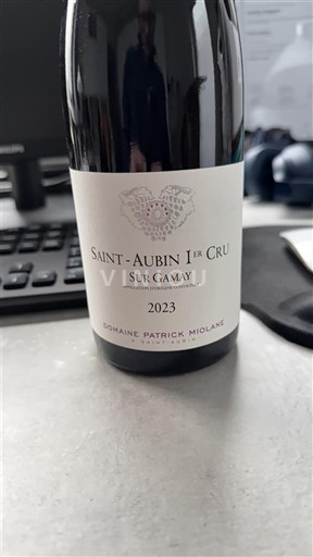 Burgundia Saint-Aubin Premier Cru Domaine Patrick Miolane Sur Gamay 2023
